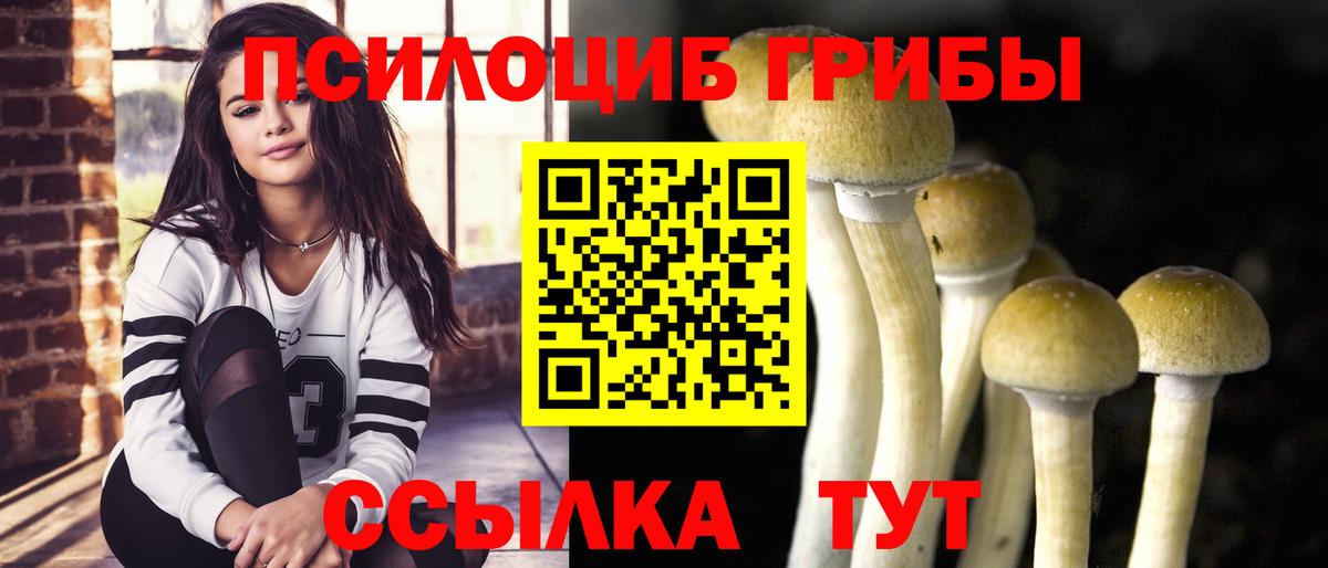 Псилоцибиновые грибы ЛСД  Псилоцибиновые грибы ЛСД  Вход с VPN  Курчалой 